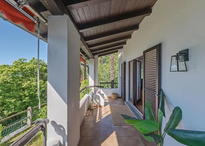 Brilago 1 * 布里萨戈