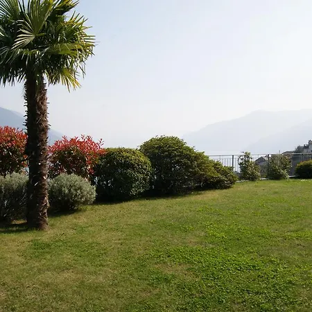 Brilago 1 *
